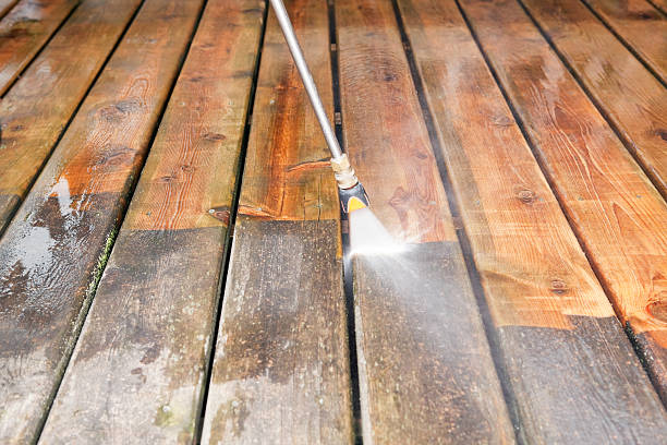 Best Pressure Washing Driveway  in Nsfield Center, MA